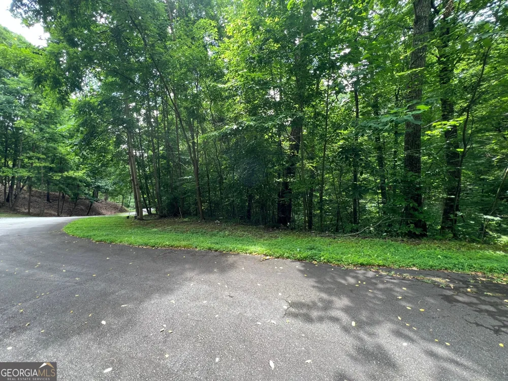 0 Overlook DR Young Harris, GA 30582