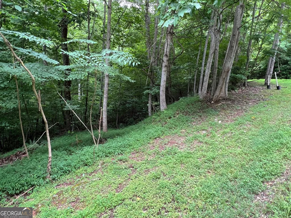 0 Overlook DR Young Harris, GA 30582