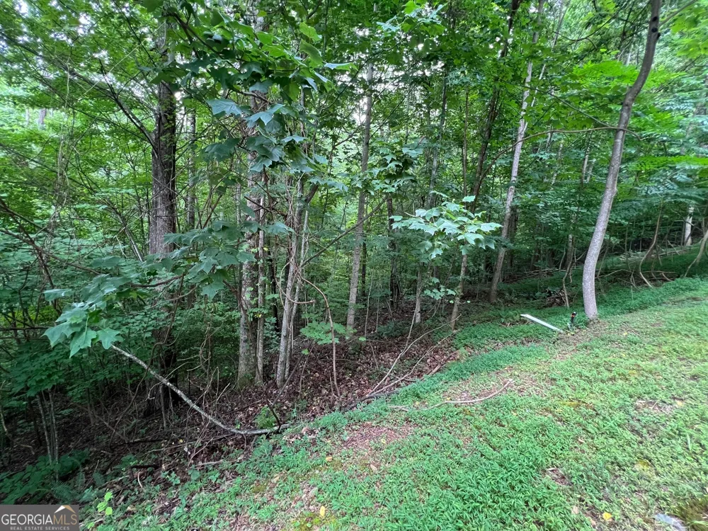 0 Overlook DR Young Harris, GA 30582