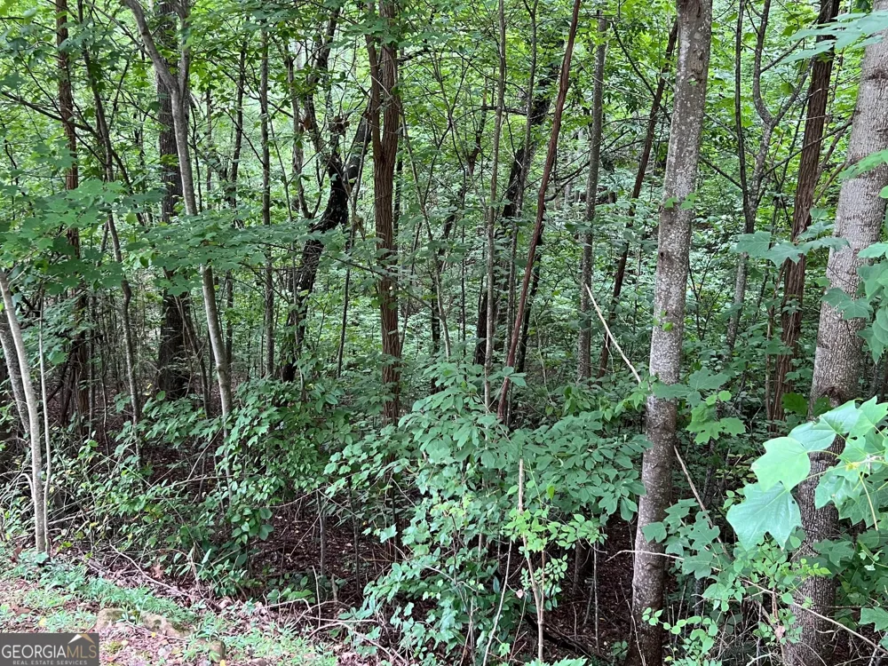 0 Overlook DR Young Harris, GA 30582