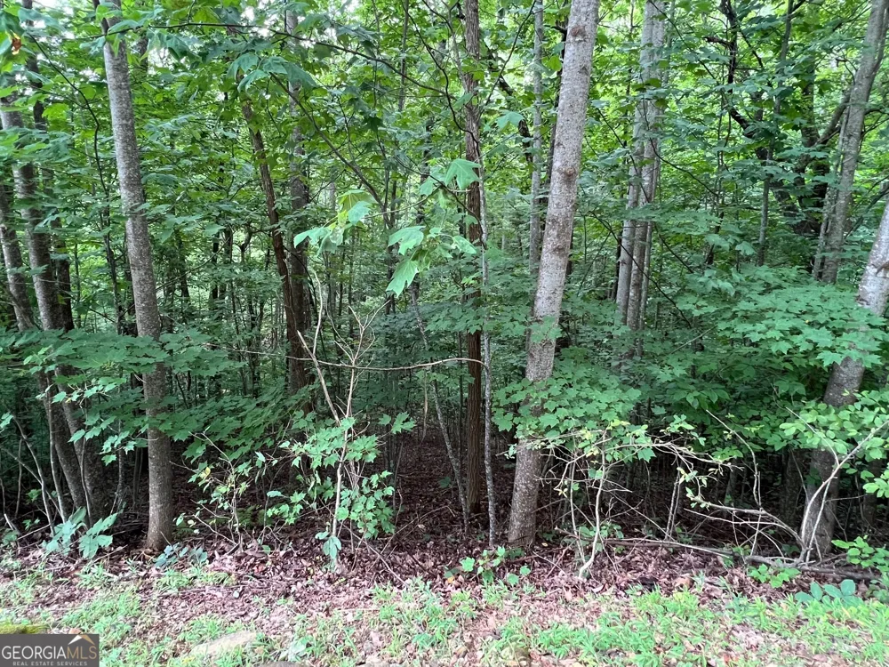 0 Overlook DR Young Harris, GA 30582