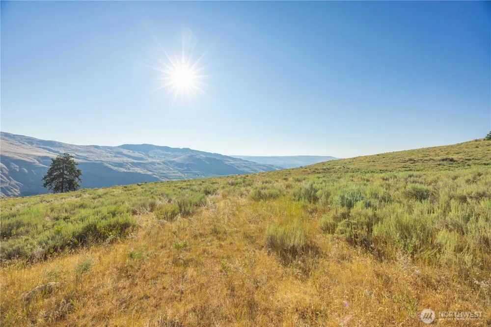 0 Goat Ridge Lot 6 - HWY 153 #6 Pateros, WA 98846