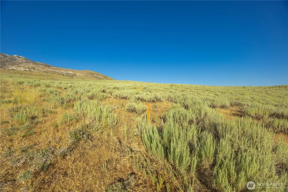 0 Goat Ridge Lot 6 - HWY 153 #6 Pateros, WA 98846
