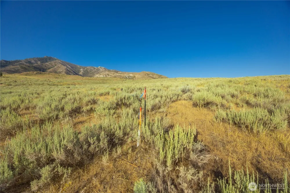 0 Goat Ridge Lot 6 - HWY 153 #6 Pateros, WA 98846