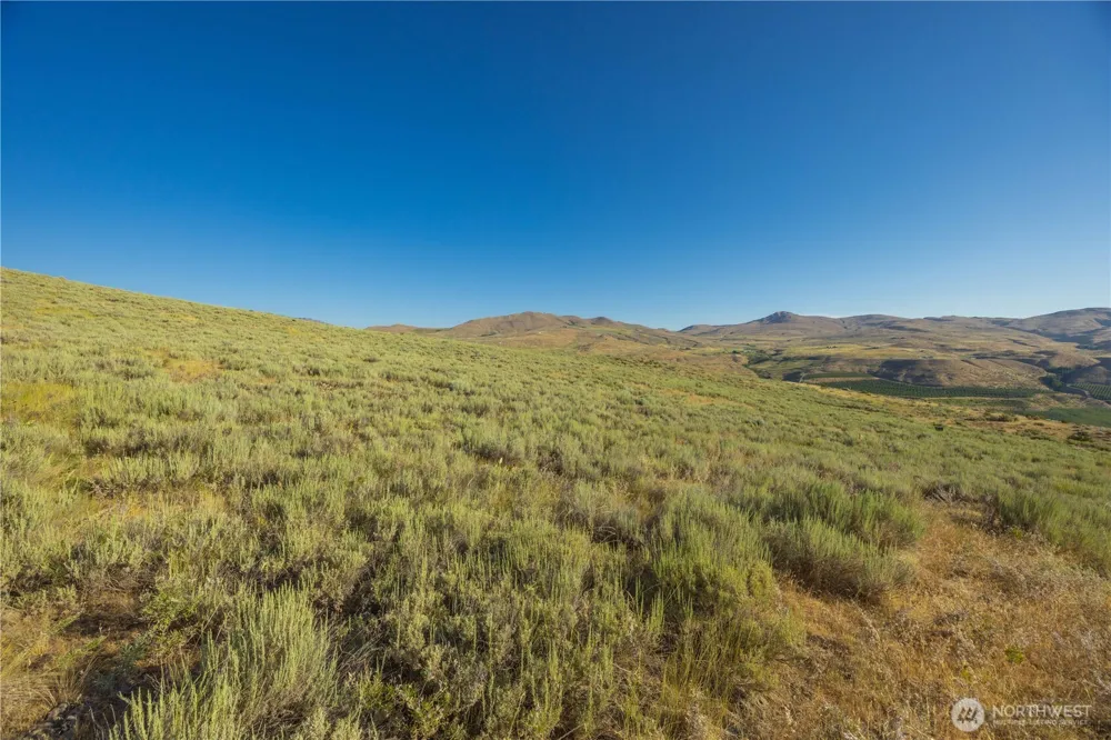0 Goat Ridge Lot 6 - HWY 153 #6 Pateros, WA 98846