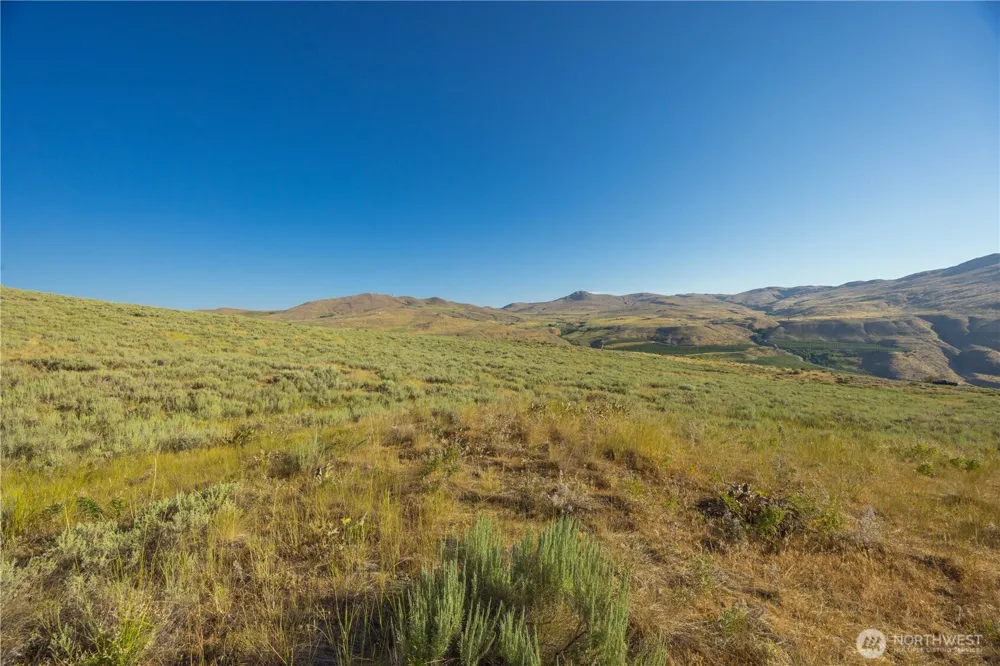 0 Goat Ridge Lot 6 - HWY 153 #6 Pateros, WA 98846