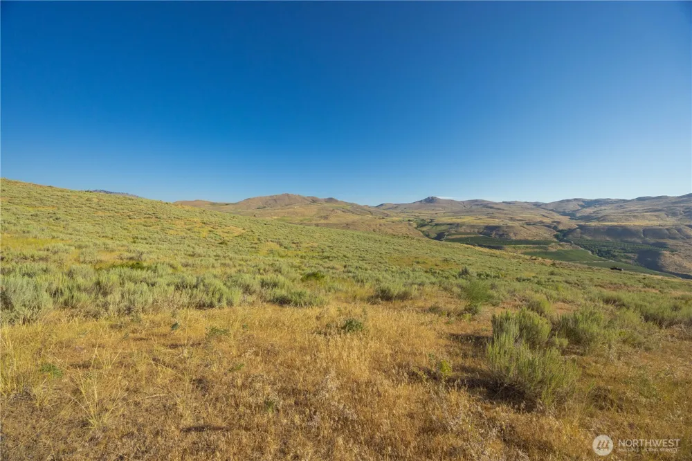0 Goat Ridge Lot 6 - HWY 153 #6 Pateros, WA 98846
