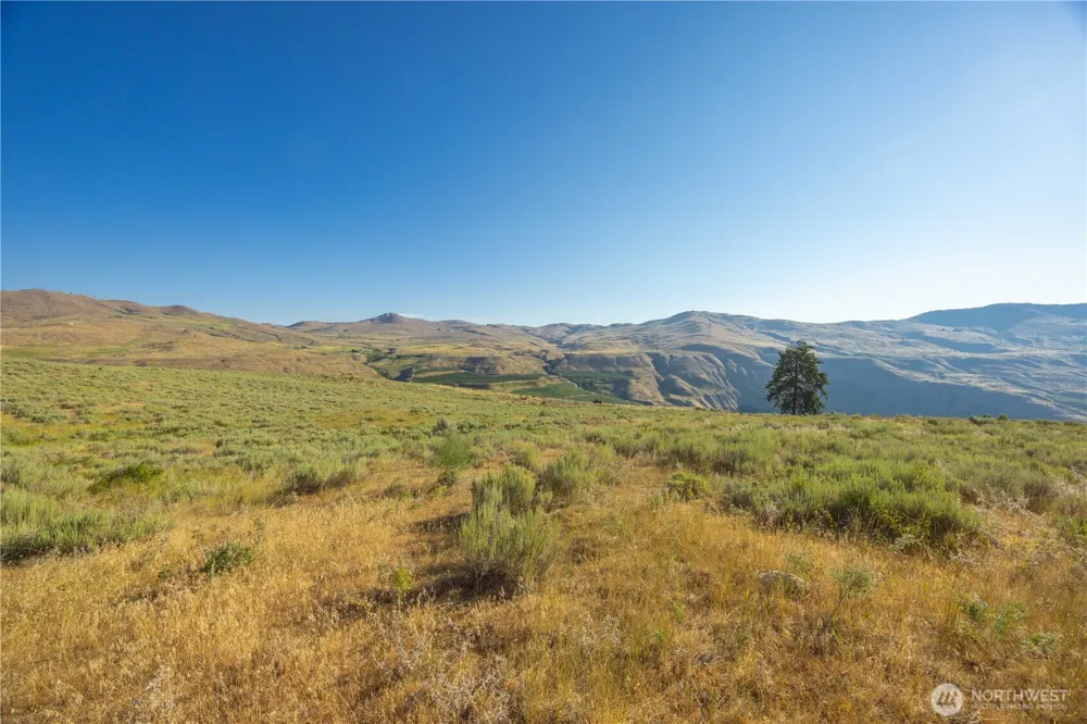 0 Goat Ridge Lot 6 - HWY 153 #6 Pateros, WA 98846