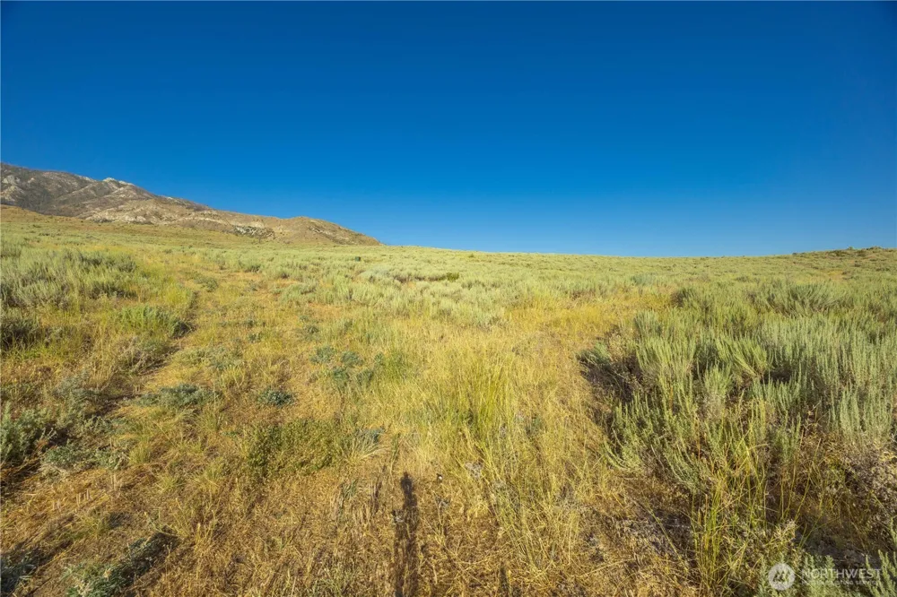 0 Goat Ridge Lot 6 - HWY 153 #6 Pateros, WA 98846