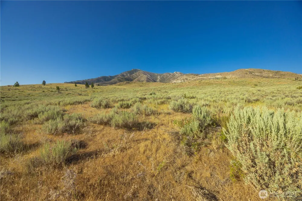 0 Goat Ridge Lot 6 - HWY 153 #6 Pateros, WA 98846