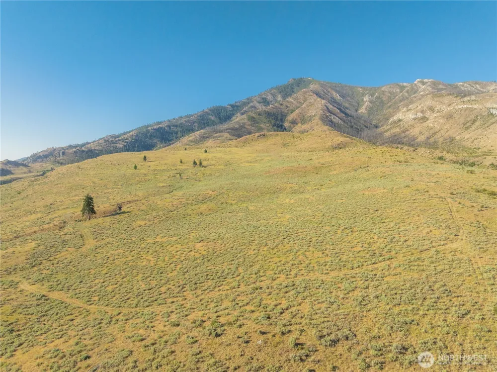 0 Goat Ridge Lot 6 - HWY 153 #6 Pateros, WA 98846