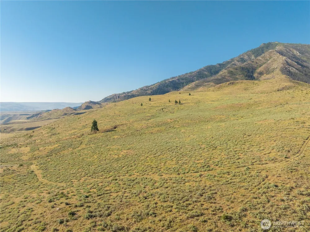 0 Goat Ridge Lot 6 - HWY 153 #6 Pateros, WA 98846