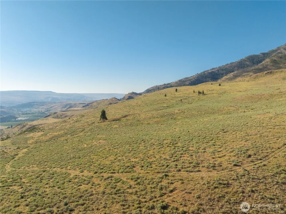 0 Goat Ridge Lot 6 - HWY 153 #6 Pateros, WA 98846
