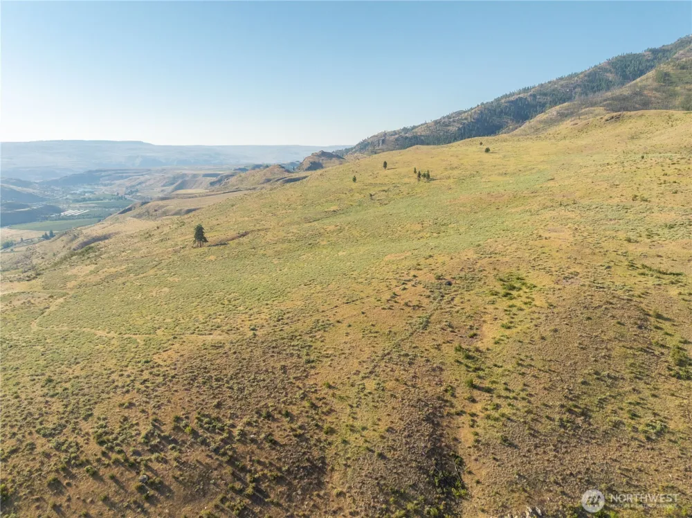 0 Goat Ridge Lot 6 - HWY 153 #6 Pateros, WA 98846