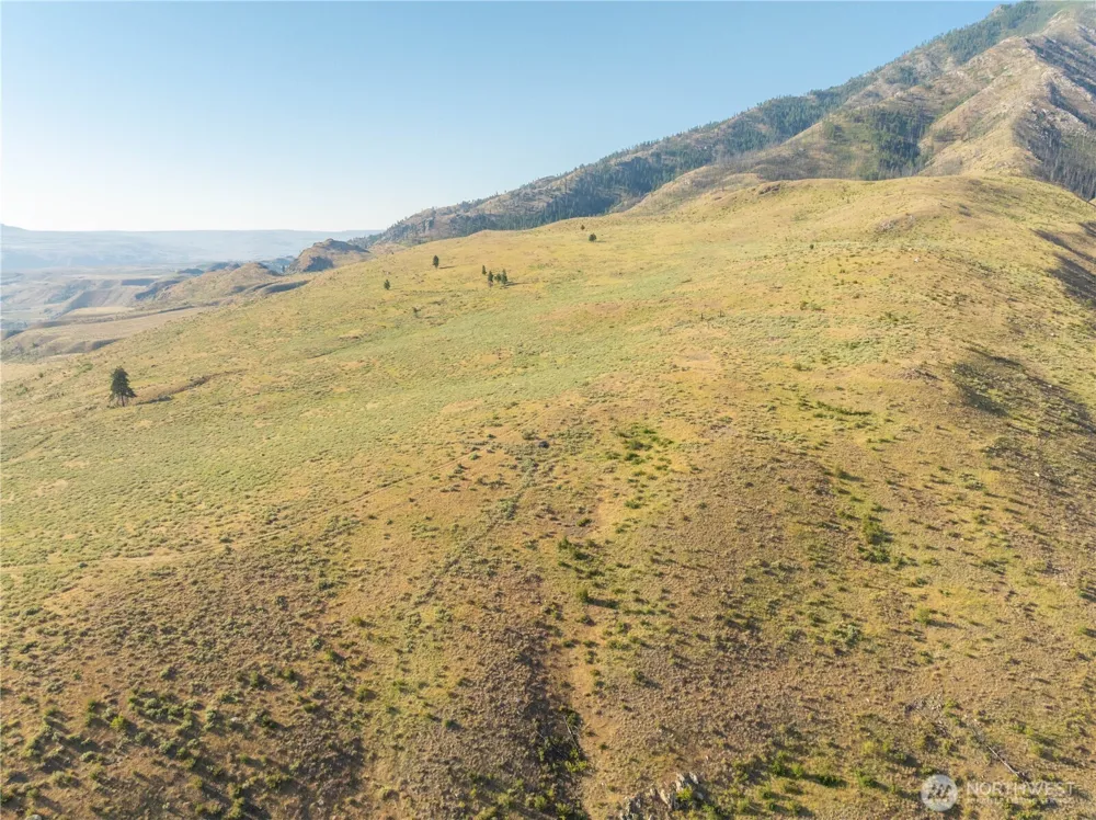 0 Goat Ridge Lot 6 - HWY 153 #6 Pateros, WA 98846