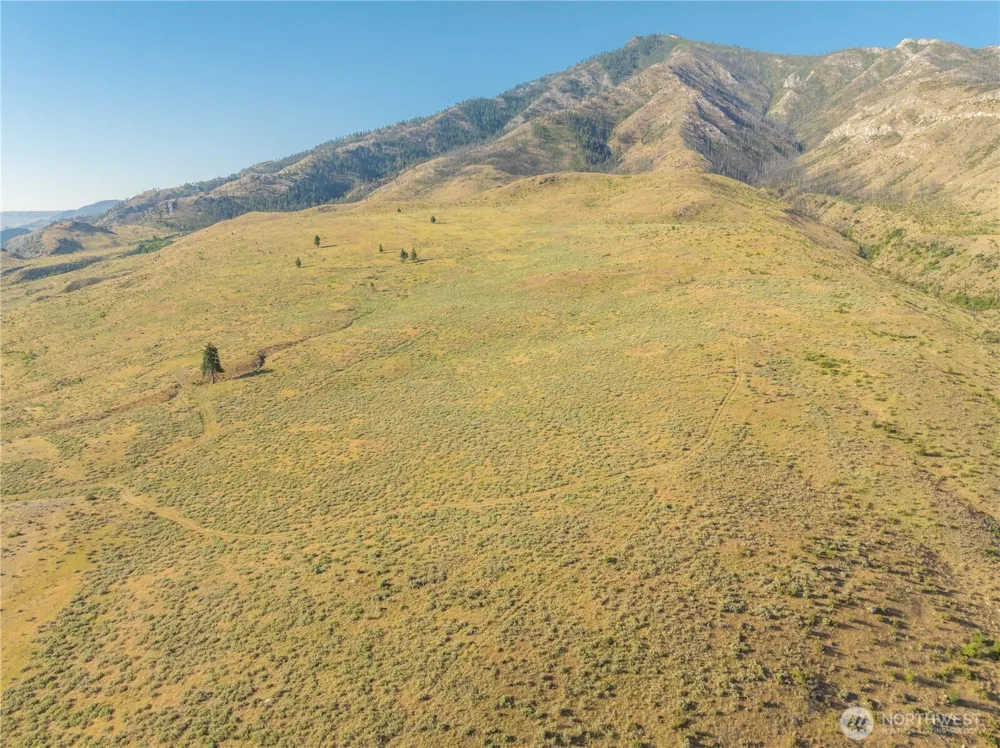 0 Goat Ridge Lot 6 - HWY 153 #6 Pateros, WA 98846