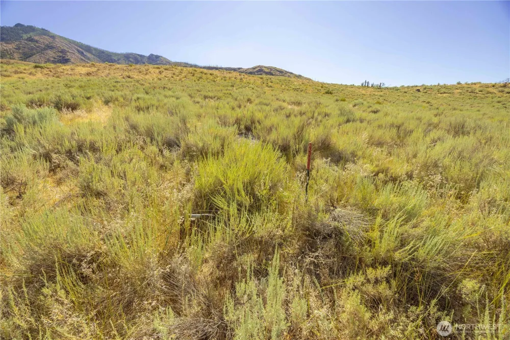 0 Goat Ridge Lot 6 - HWY 153 #6 Pateros, WA 98846