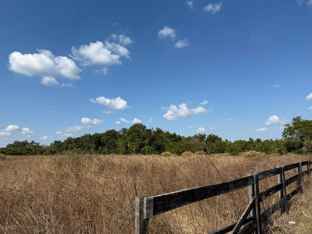 12828 FORT KING HIGHWAY Thonotosassa, FL 33592