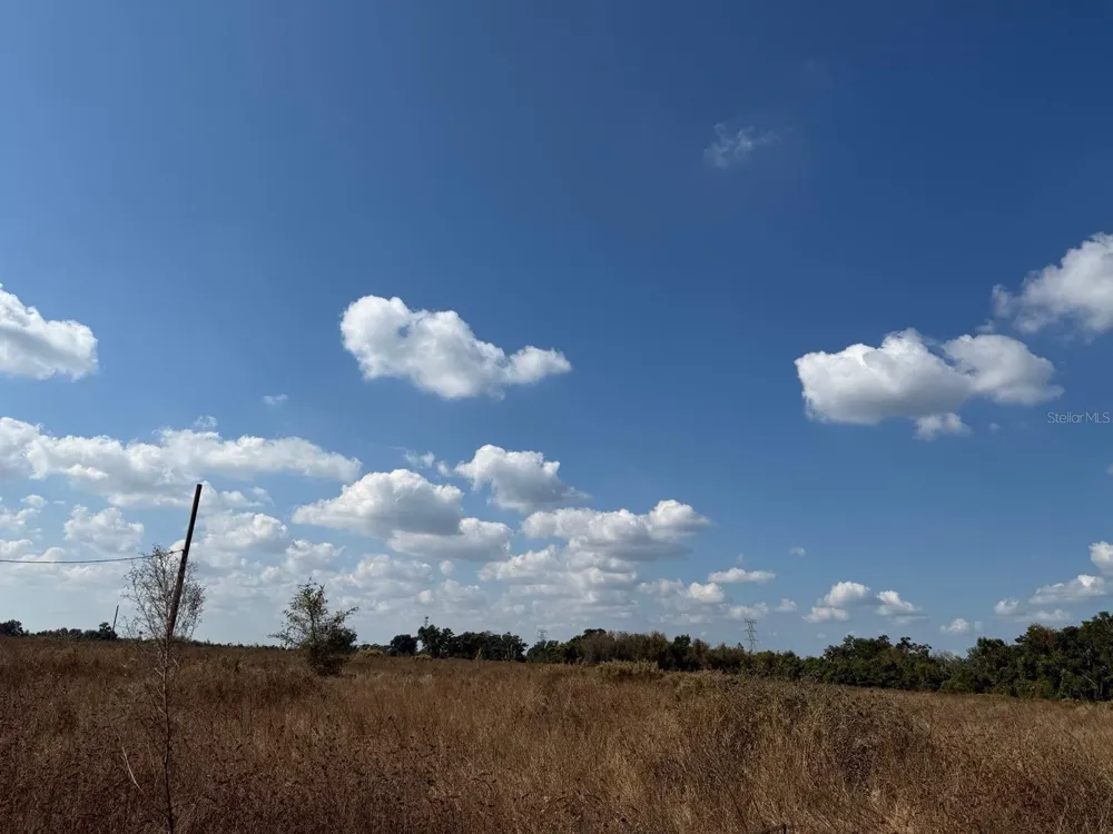 12828 FORT KING HIGHWAY Thonotosassa, FL 33592