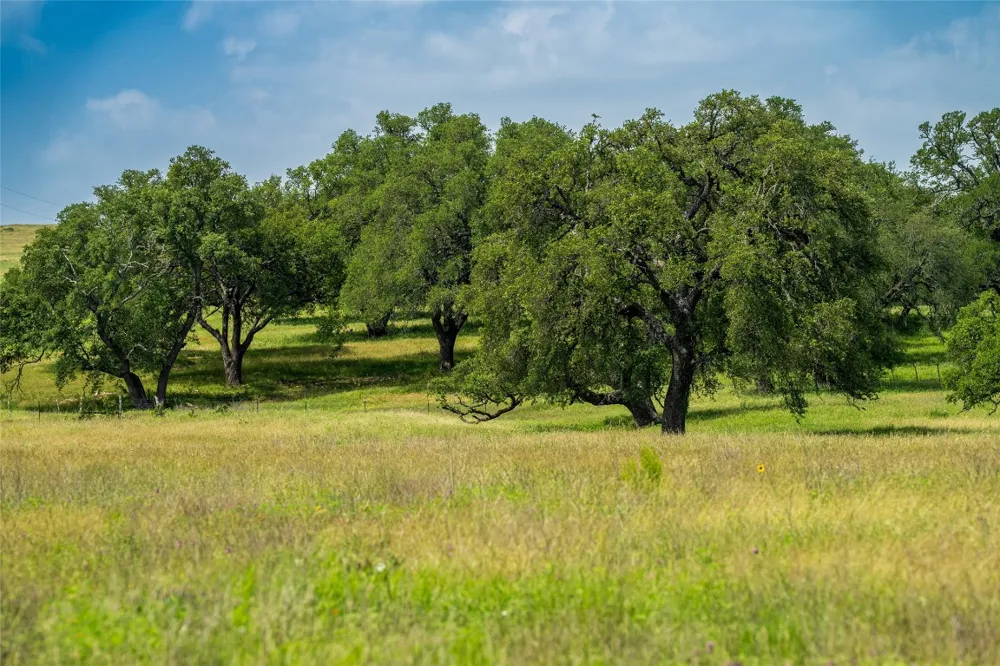 302 Hye Albert Road Hye, TX 78635