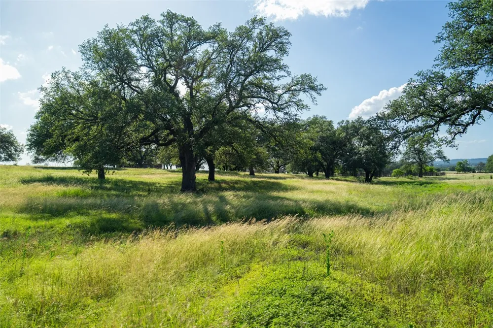 302 Hye Albert Road Hye, TX 78635