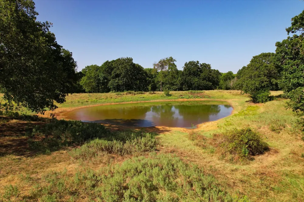 12029 Fishtrap Road Aubrey, TX 76227
