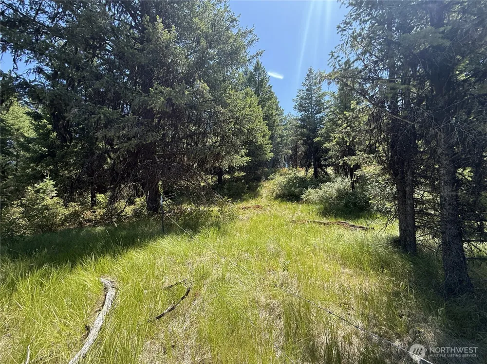 135 Slippery Hill Lane Republic, WA 99166