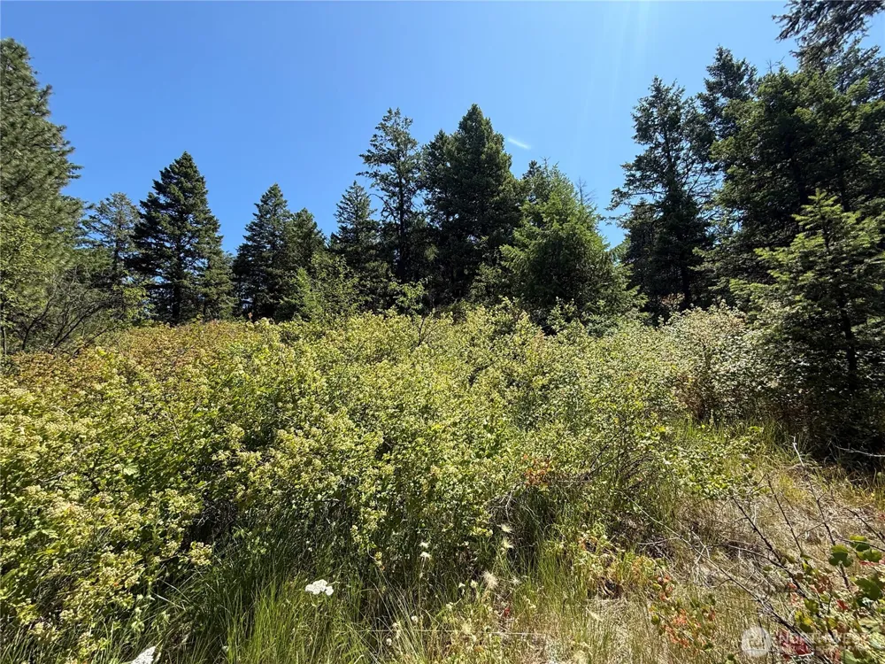 135 Slippery Hill Lane Republic, WA 99166