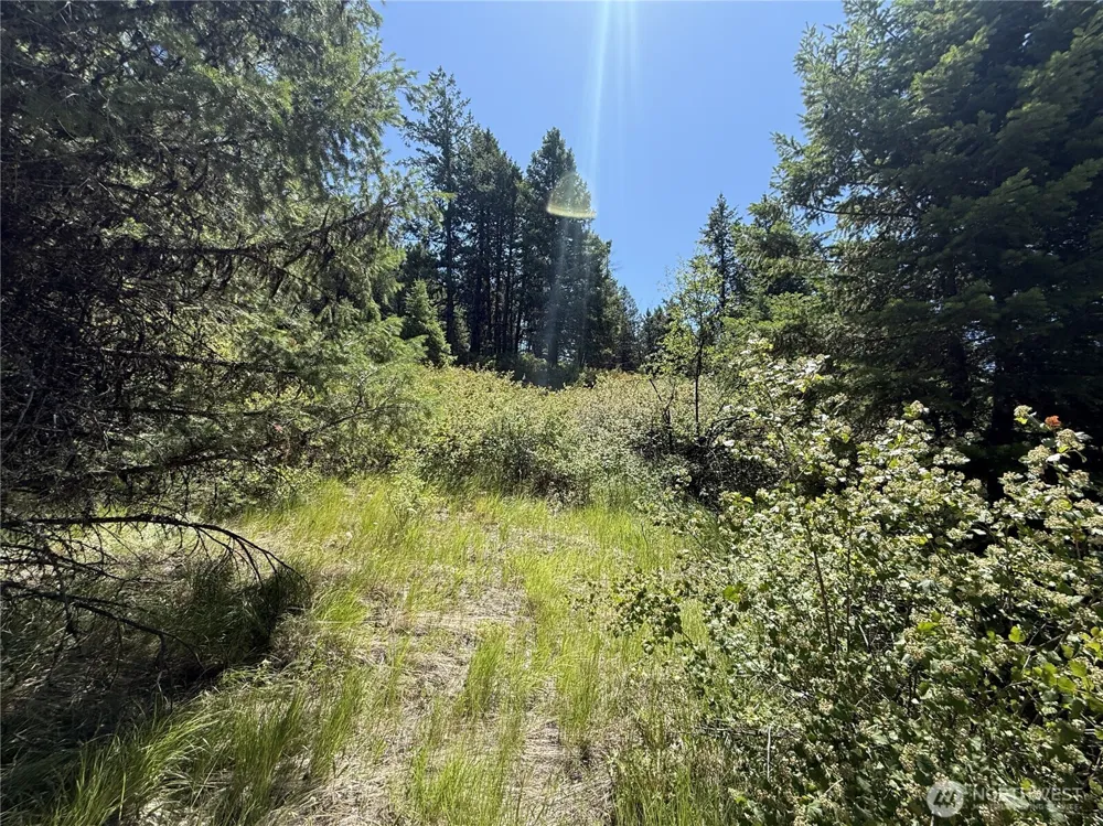 135 Slippery Hill Lane Republic, WA 99166