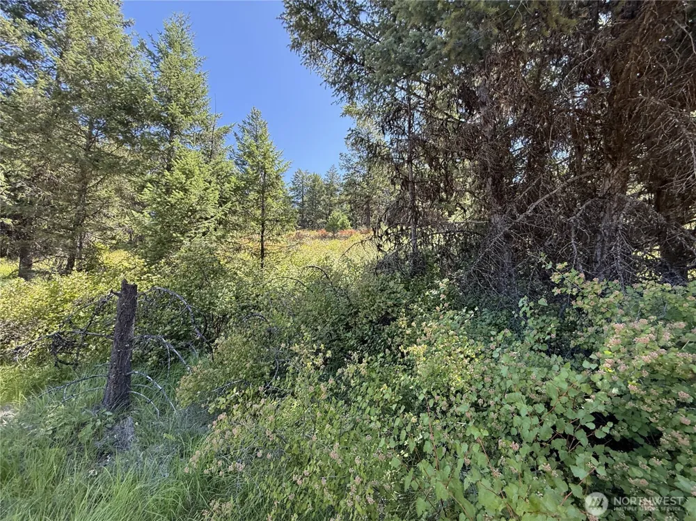 135 Slippery Hill Lane Republic, WA 99166