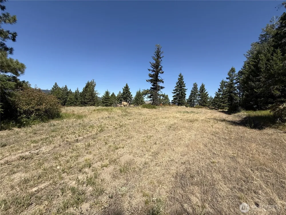 135 Slippery Hill Lane Republic, WA 99166