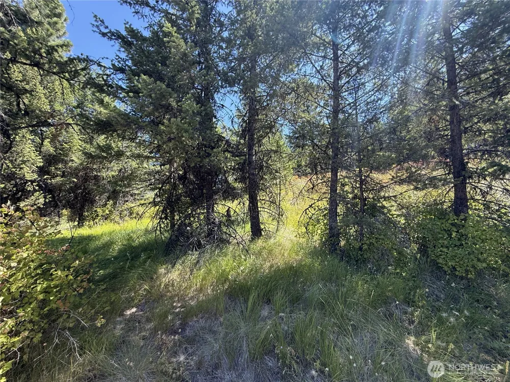 135 Slippery Hill Lane Republic, WA 99166