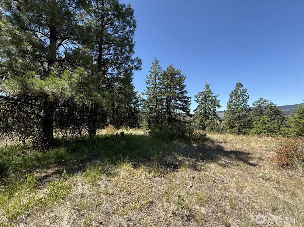 135 Slippery Hill Lane Republic, WA 99166