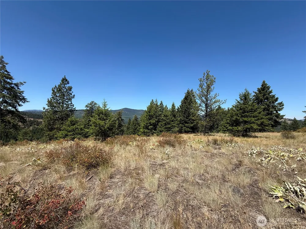135 Slippery Hill Lane Republic, WA 99166