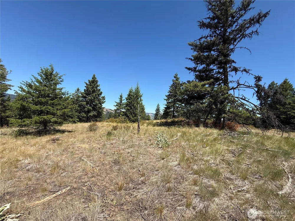 135 Slippery Hill Lane Republic, WA 99166
