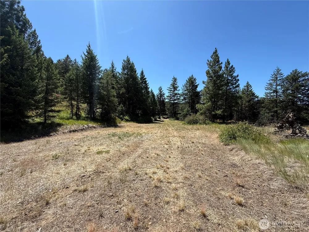 135 Slippery Hill Lane Republic, WA 99166