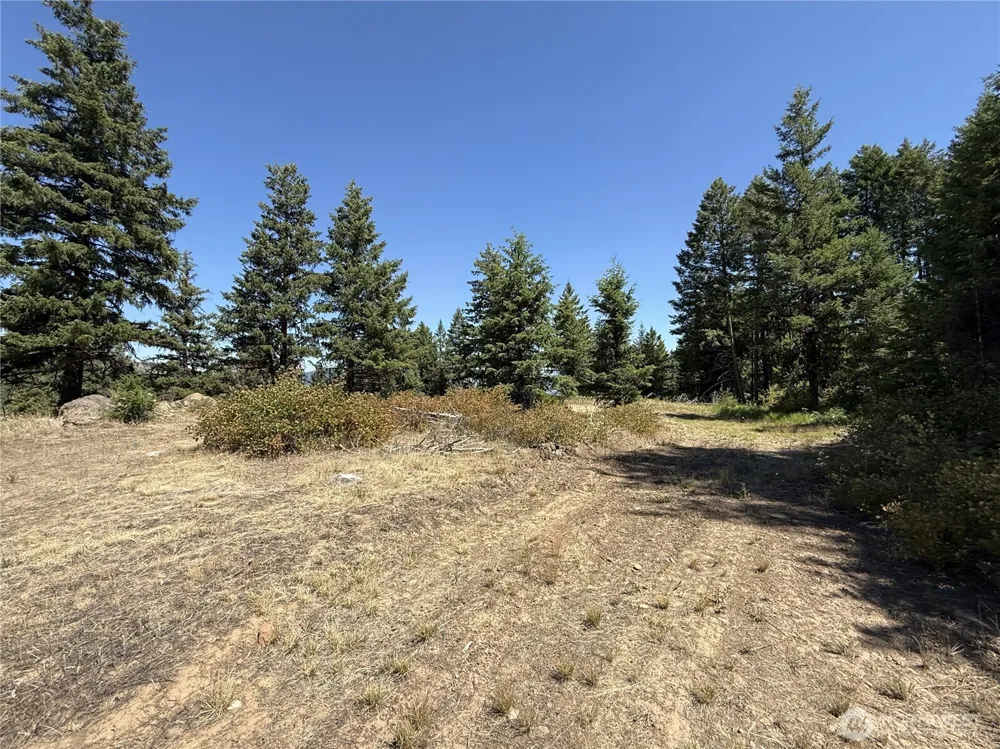 135 Slippery Hill Lane Republic, WA 99166