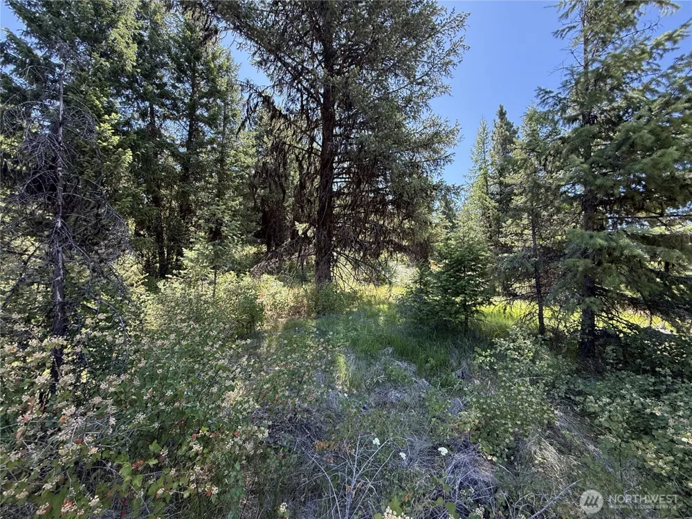 135 Slippery Hill Lane Republic, WA 99166