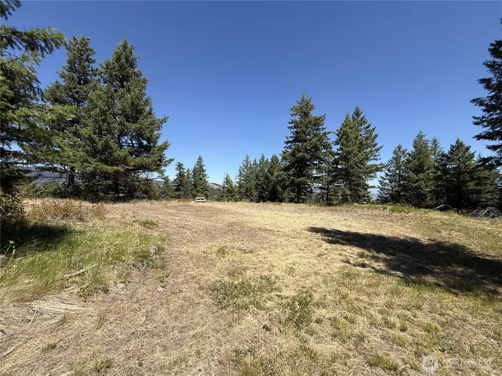 135 Slippery Hill Lane Republic, WA 99166