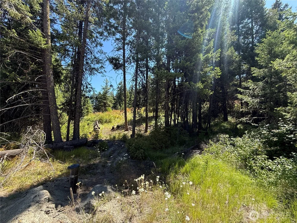 135 Slippery Hill Lane Republic, WA 99166