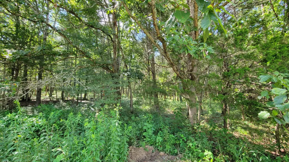 0 Murray Kittrell Rd Readyville, TN 37149
