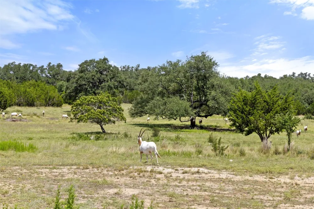 162 Legacy Hills Johnson City, TX 78636