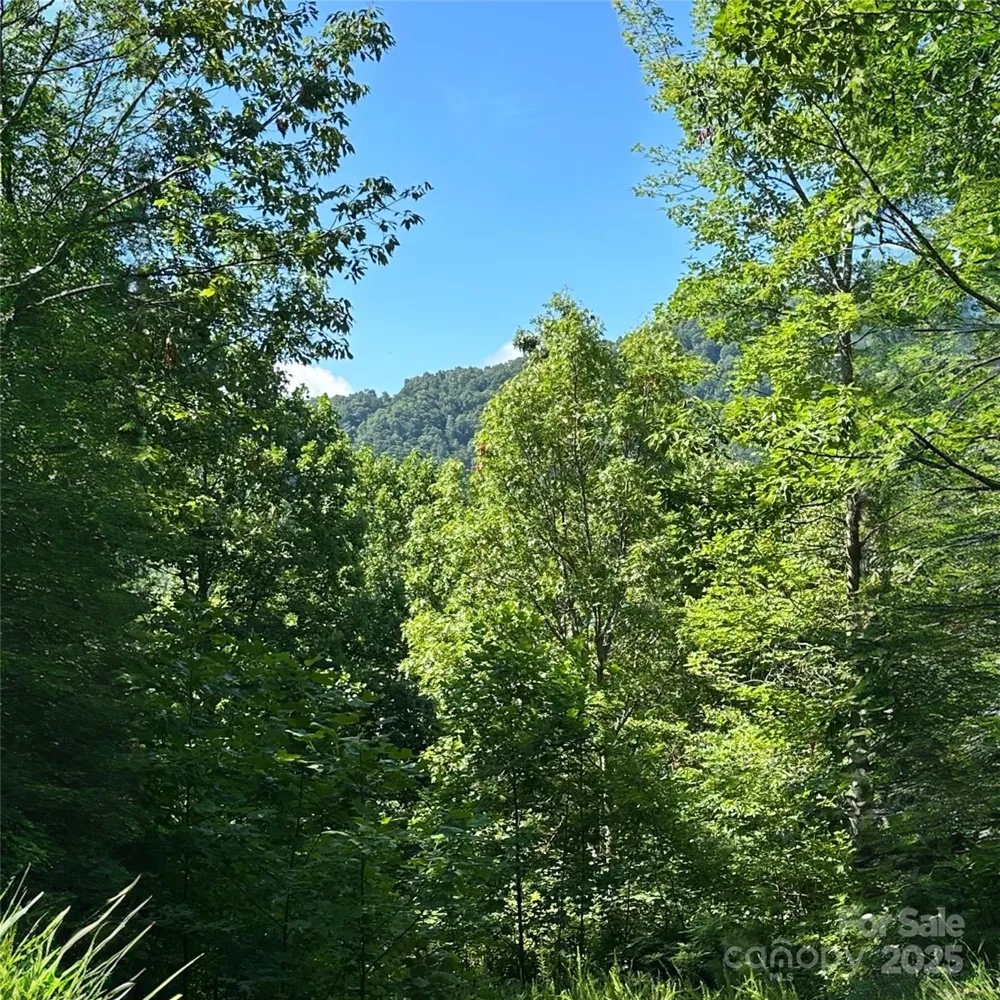 33 Nuthatch Lane #T-84 Black Mountain, NC 28711