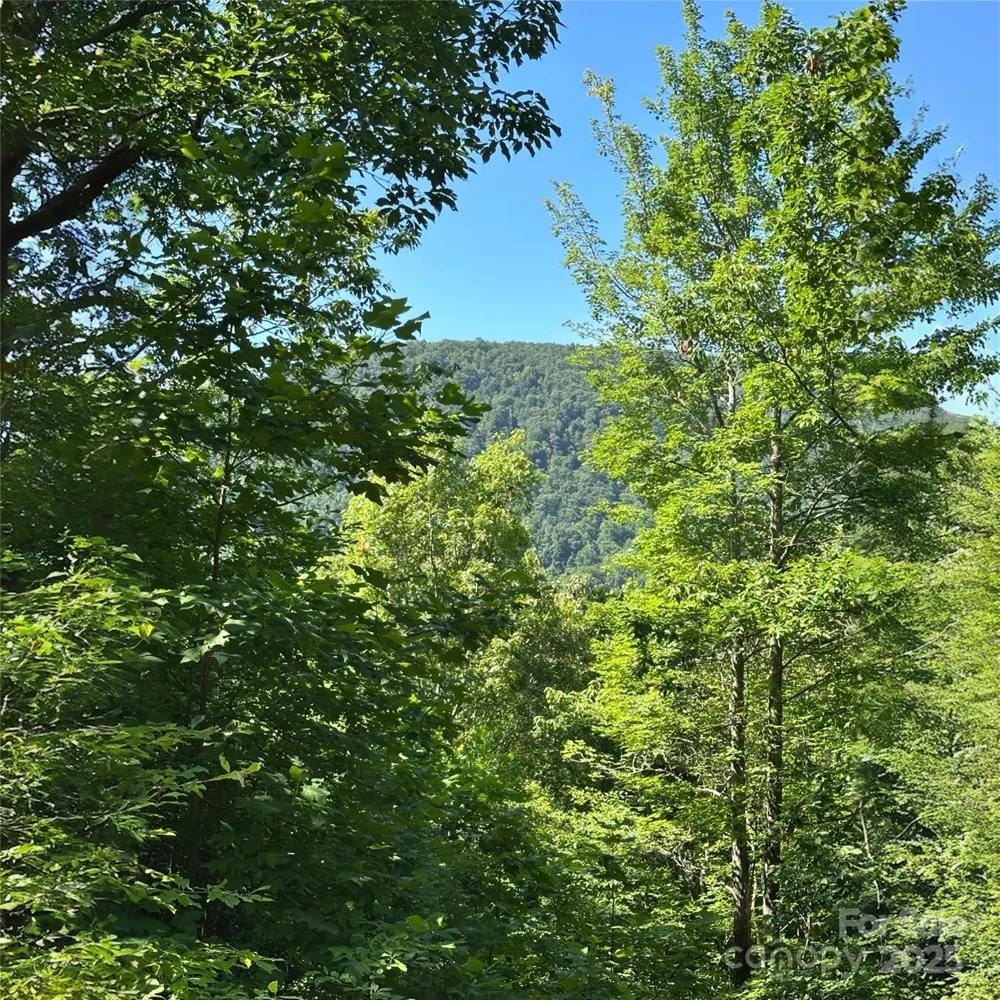 33 Nuthatch Lane #T-84 Black Mountain, NC 28711