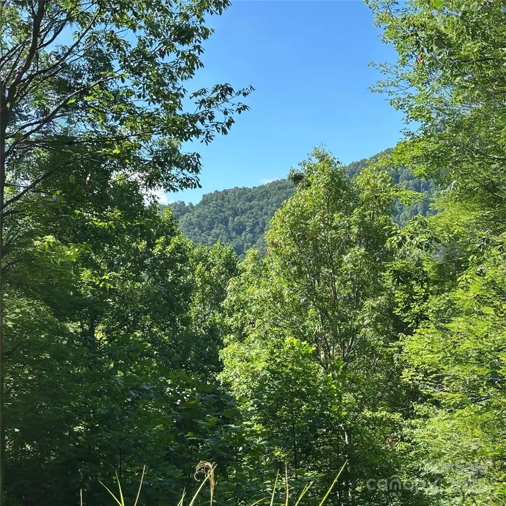 33 Nuthatch Lane #T-84 Black Mountain, NC 28711