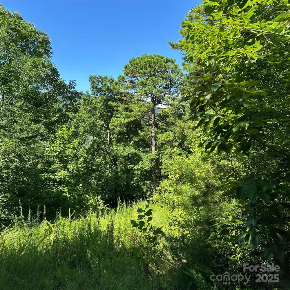33 Nuthatch Lane #T-84 Black Mountain, NC 28711