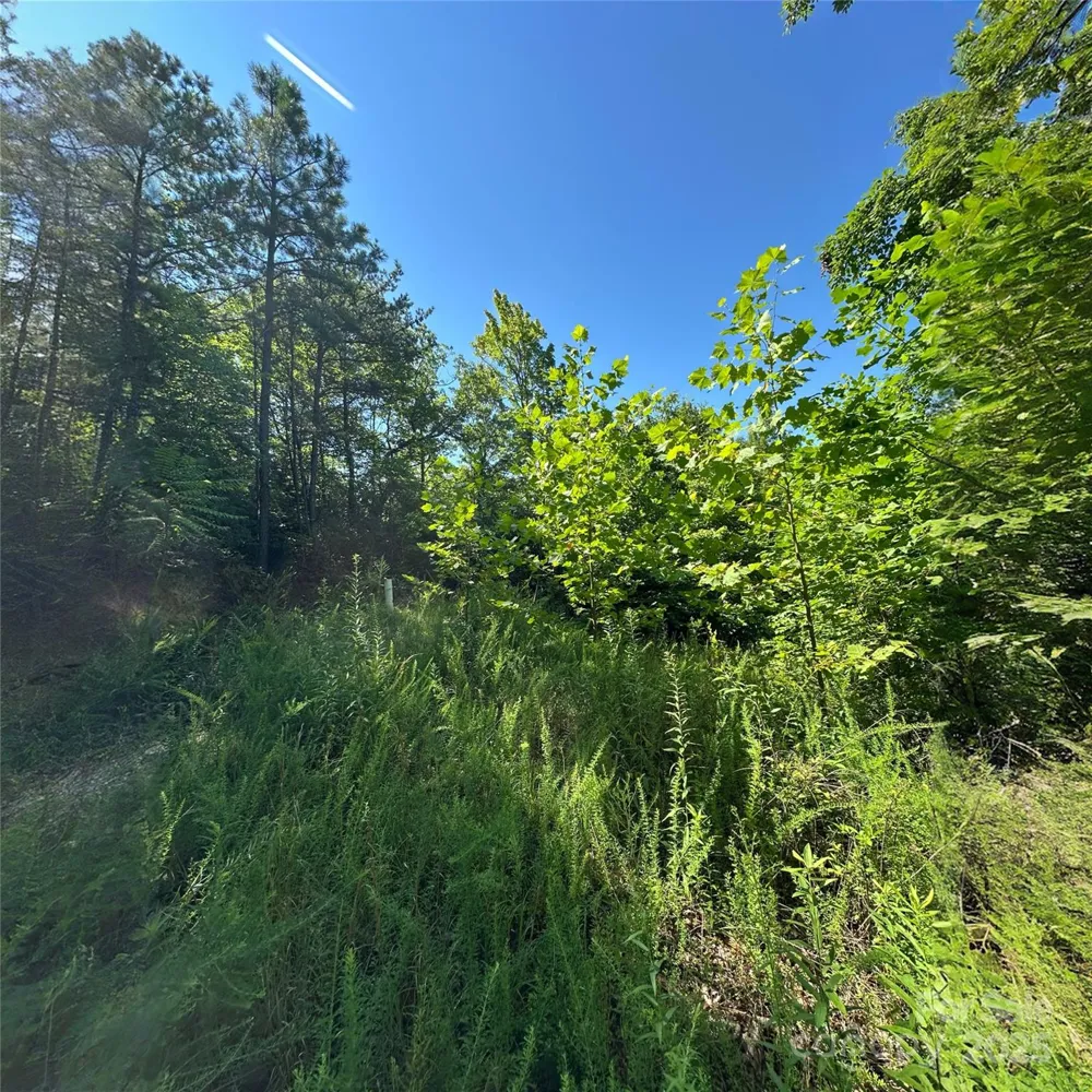 33 Nuthatch Lane #T-84 Black Mountain, NC 28711