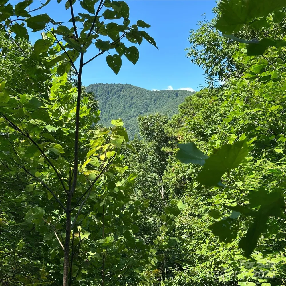 33 Nuthatch Lane #T-84 Black Mountain, NC 28711