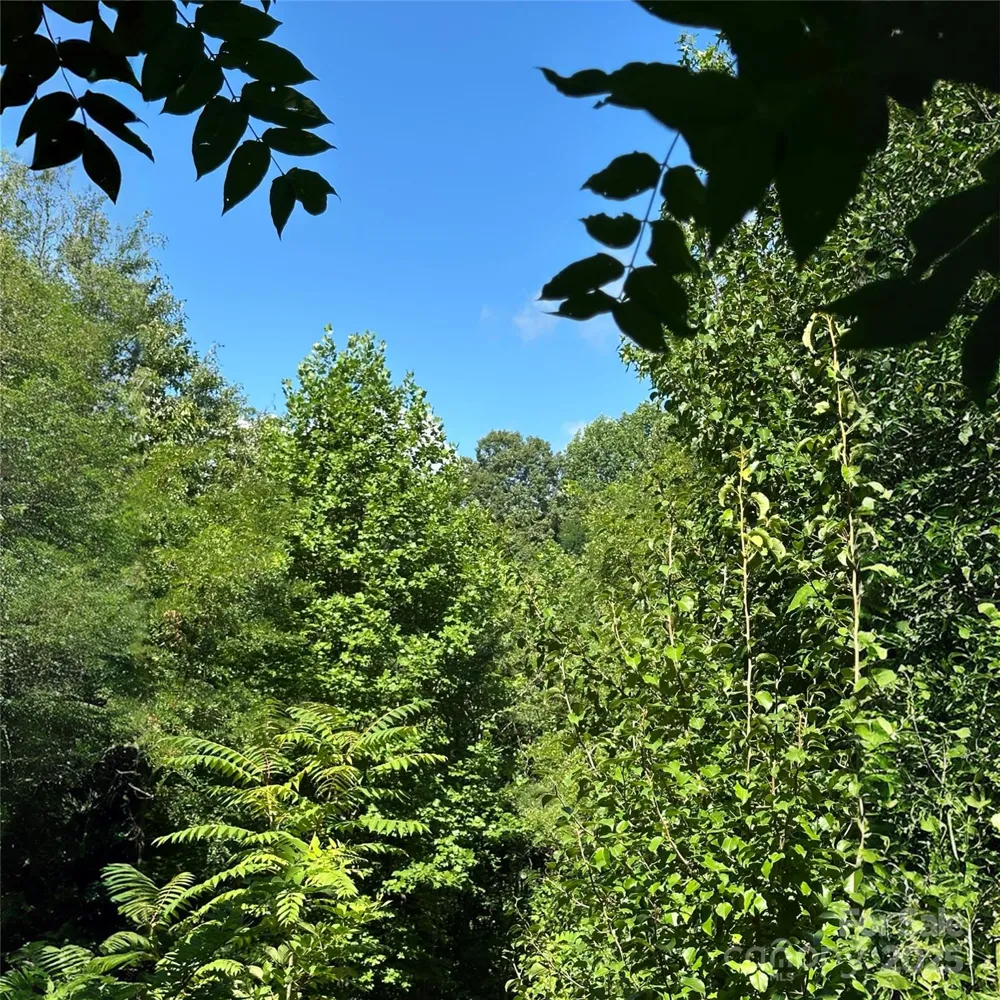 33 Nuthatch Lane #T-84 Black Mountain, NC 28711