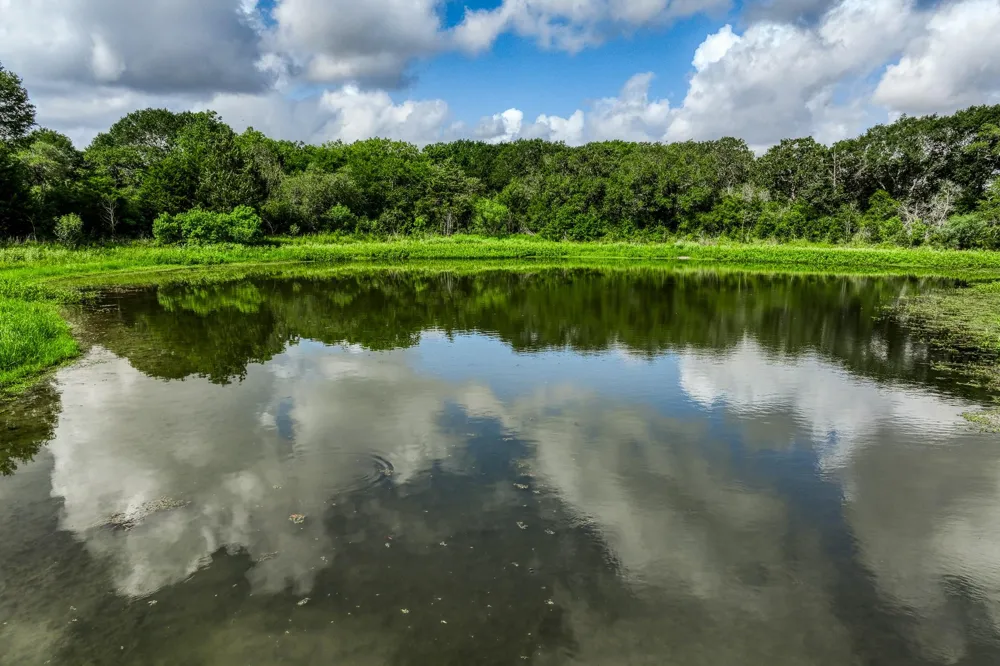 2 S Nassau Road Round Top, TX 78954